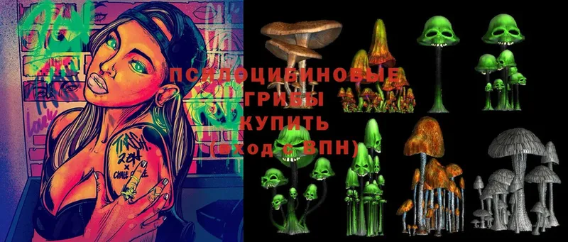 Псилоцибиновые грибы Psilocybine cubensis  Белая Калитва 